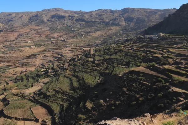Yemen - Dead Good Decaf - Image 3