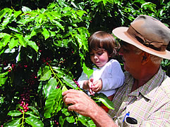 Brazil - Santa Lúcia